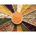 Pulses