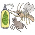 Insect Repellents