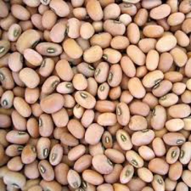 Flat Lentils (Kidney Beans)
