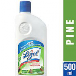 Lizol Disinfectant Surface & Floor Cleaner Liquid - Pine 